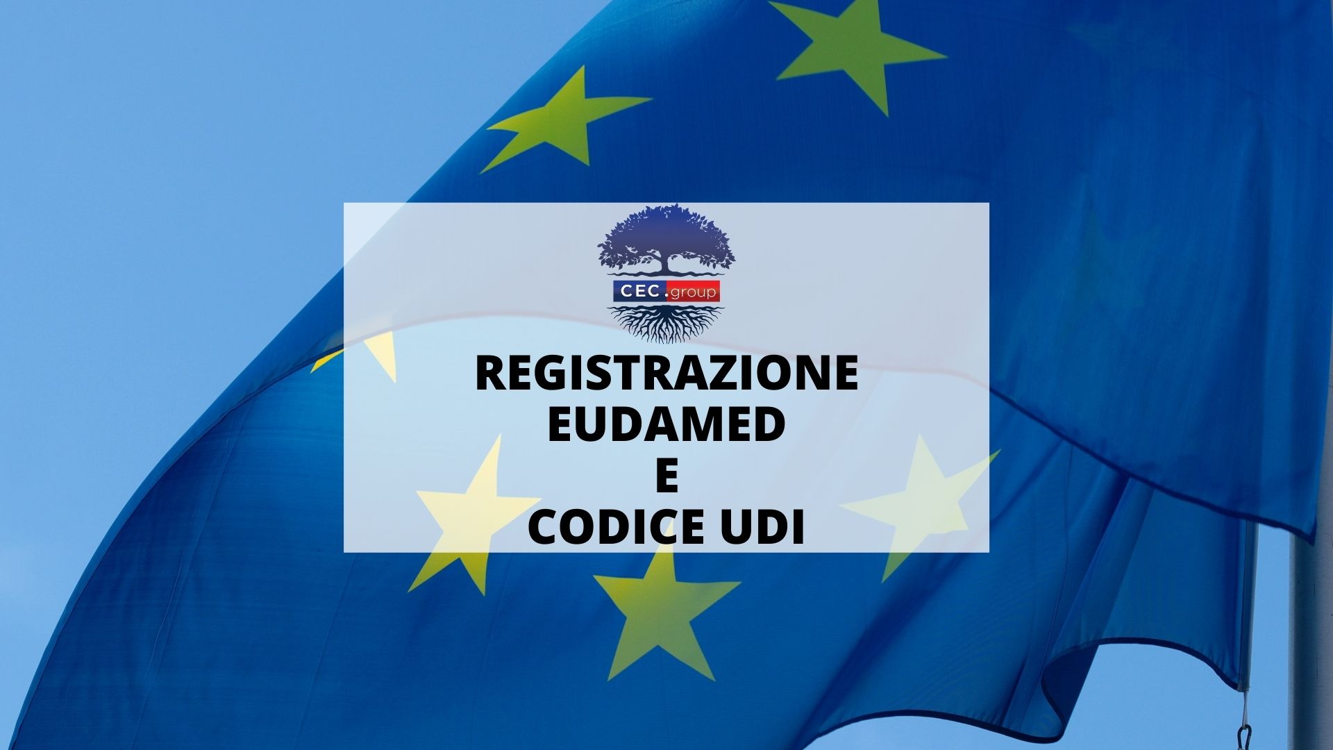 EUDAMED E UDI Regolamento (UE) 2017/745