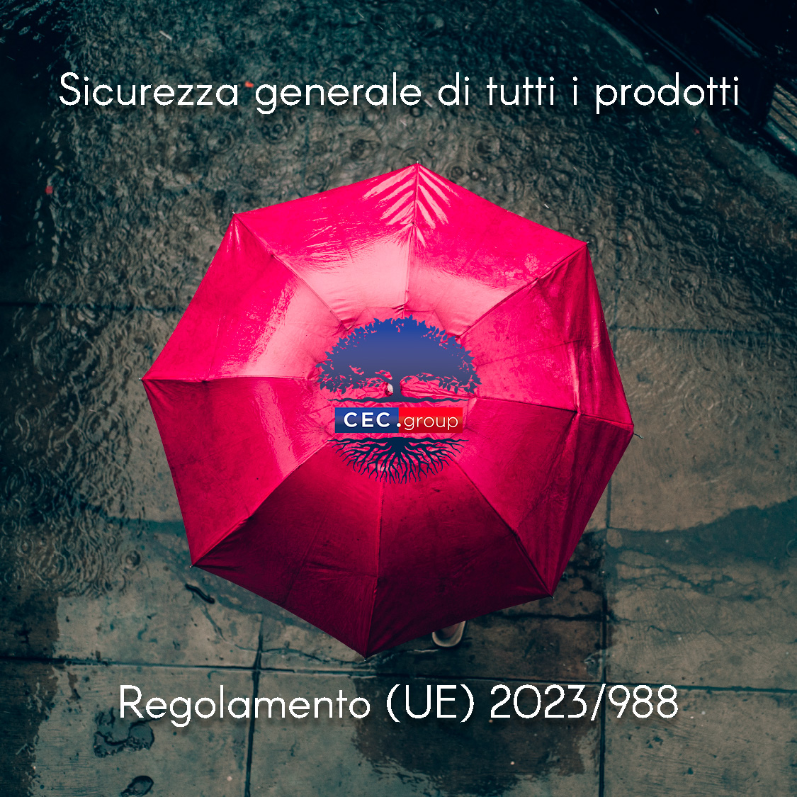 Sicurezza generale di tutti i prodotti - CEC.group ti supporta