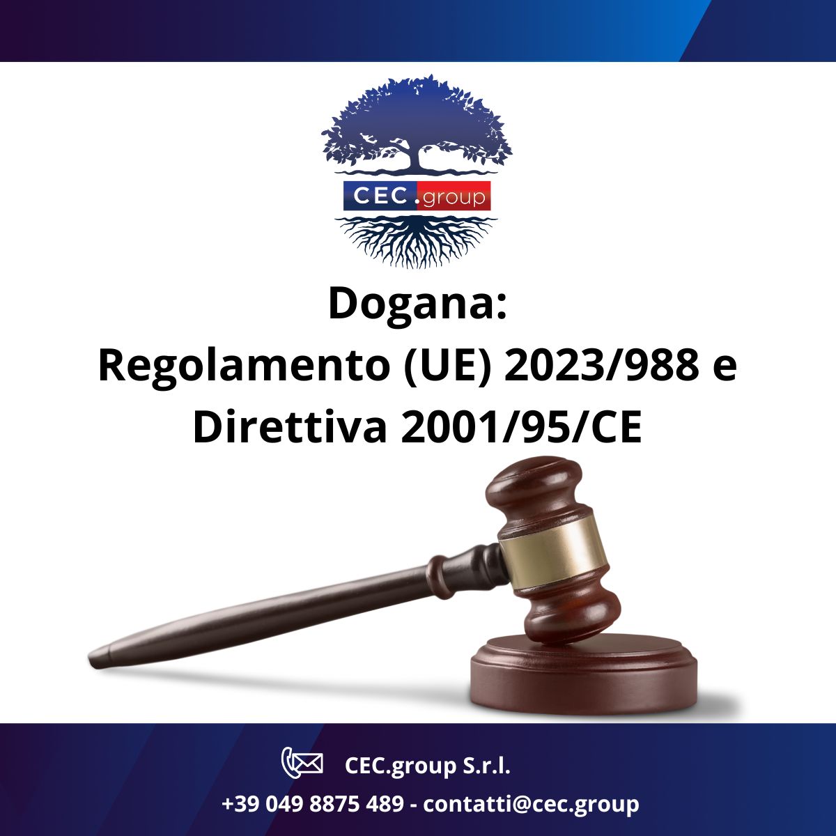 Regolamento (UE) 2023/988 e Direttiva 2001/95/ce alla dogana