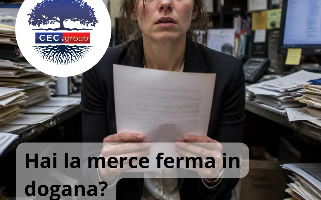 Quando hai la merce ferma in dogana….